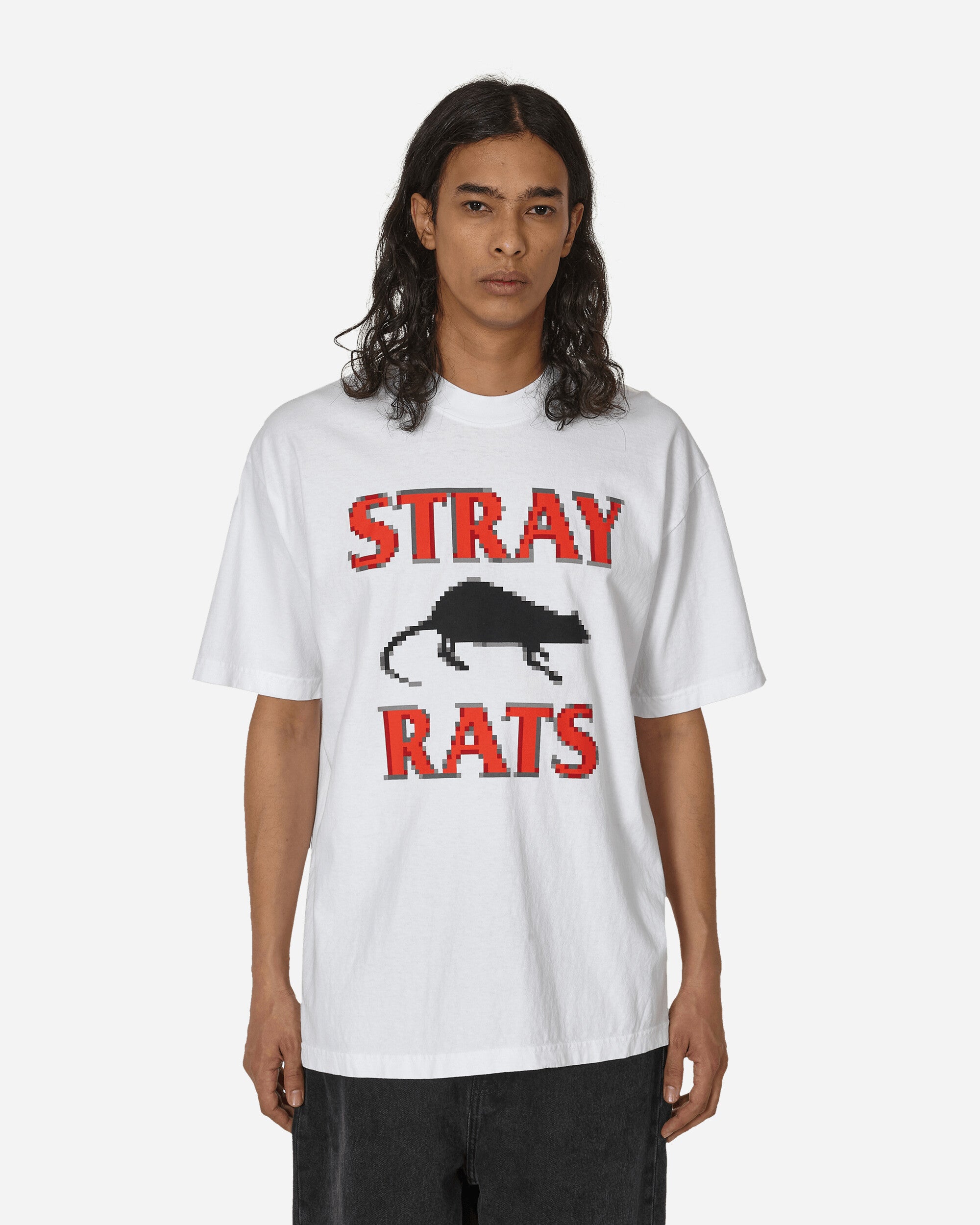 Stray offers rats