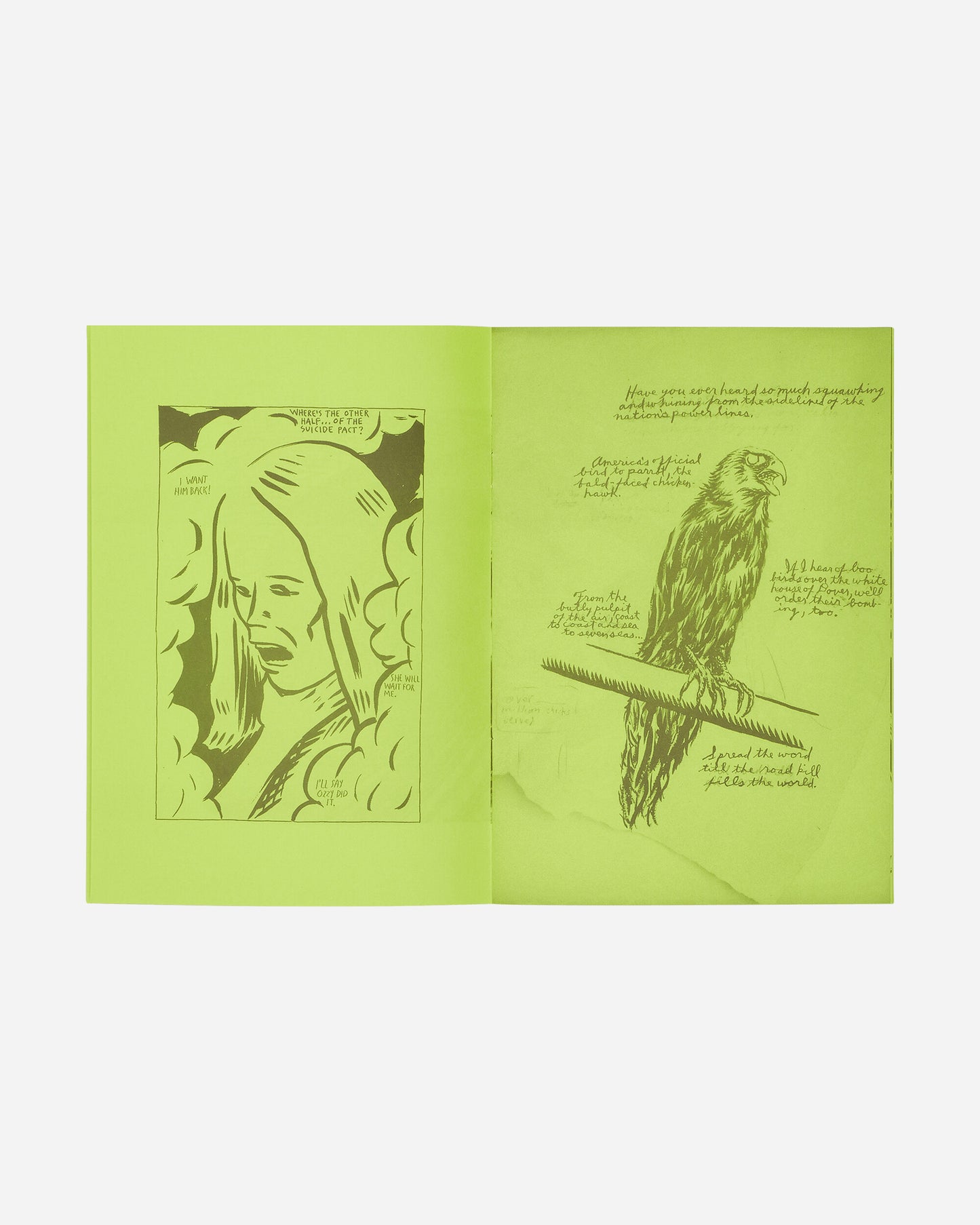 Innen Publishing Raymond Pettibon: Selected Works From 1982 To 2011 Multicolor Books and Magazines Books IPPETTI82 001