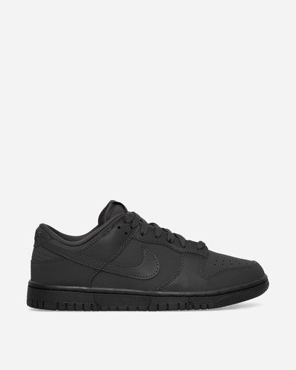 Nike W Nike Dunk Low Anthracite/Black Sneakers Low FZ3781-060