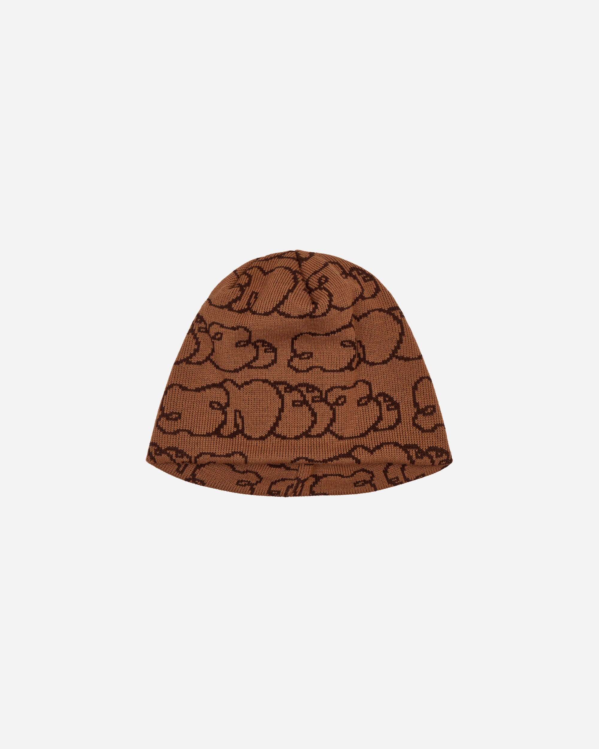 Sneeze Magazine Beanies Brown Hats Beanies SNEEZEBEANIES 001