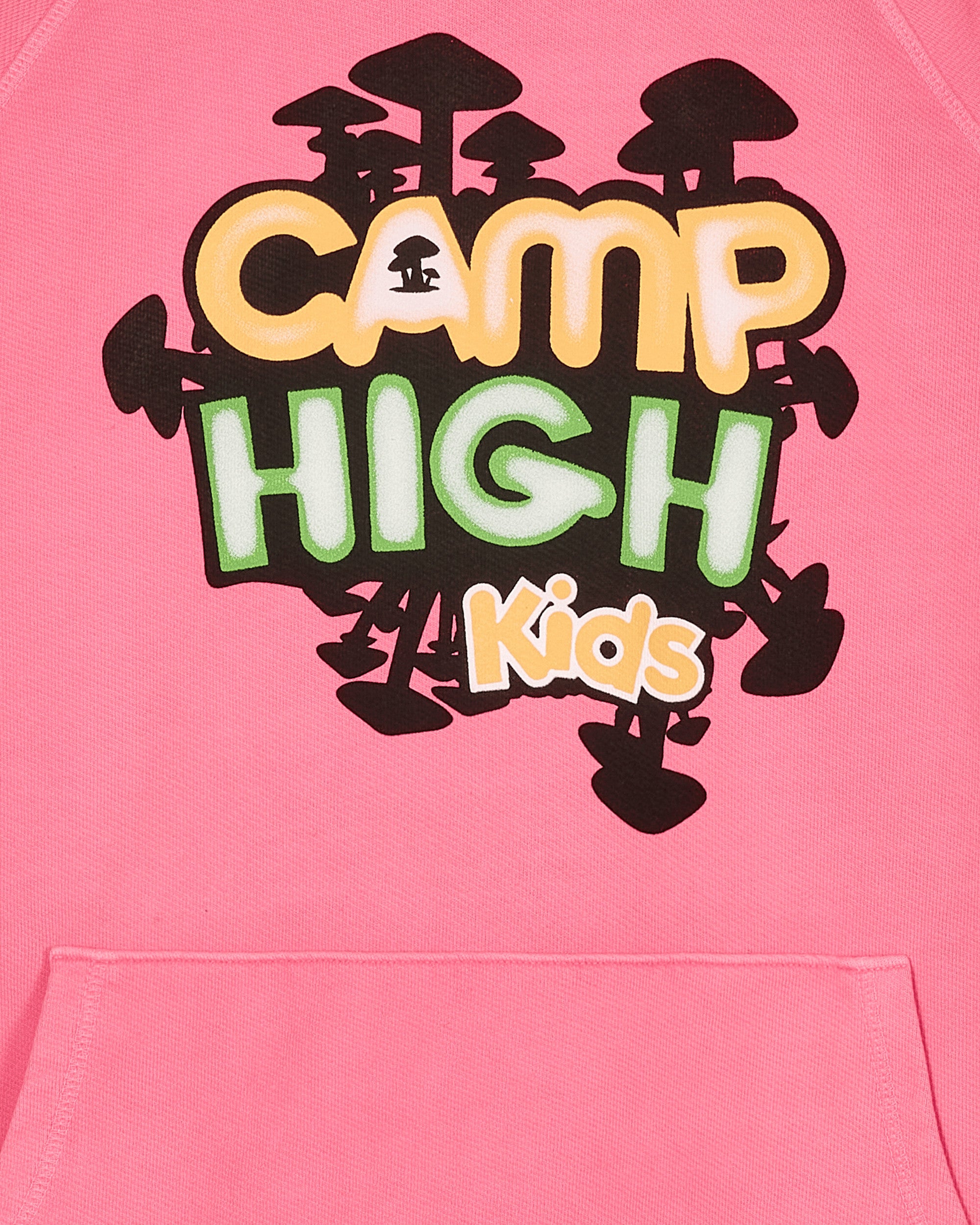 Camp High Camp High Kids Perfect Pink Sweatshirts Hoodies CHKIDSHOODIE PERFECTPINK