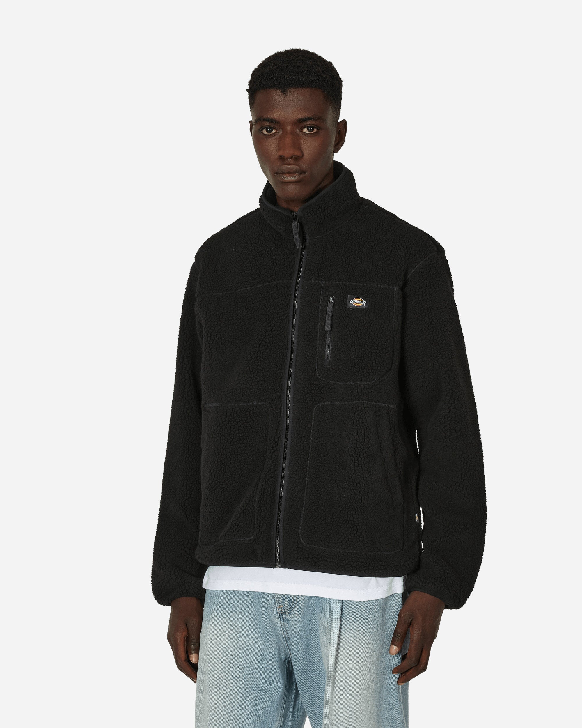 Dickies Mount Hope Fleece Black Coats and Jackets Fleece Jackets DK0A4YEE  BLK1