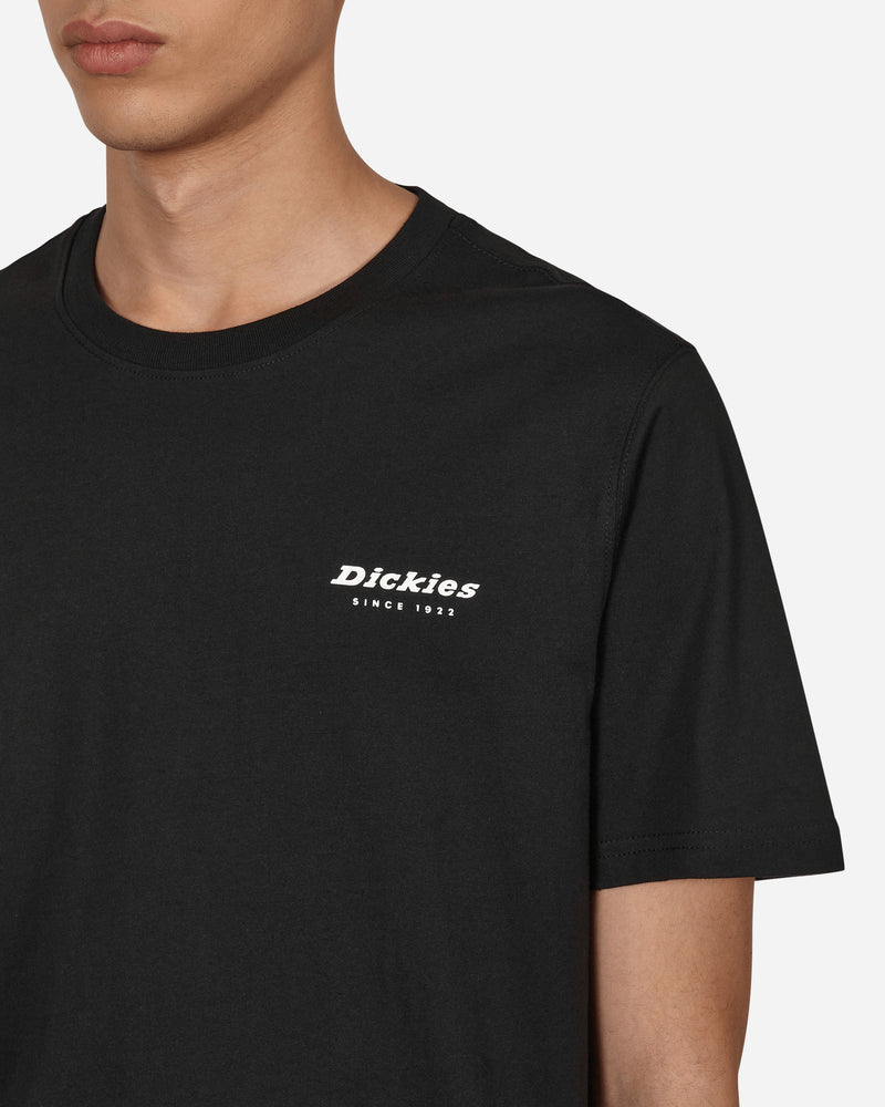 Dickies Camden Box Tee Ss Black Shirts Shortsleeve DK0A4Y1H BLK1