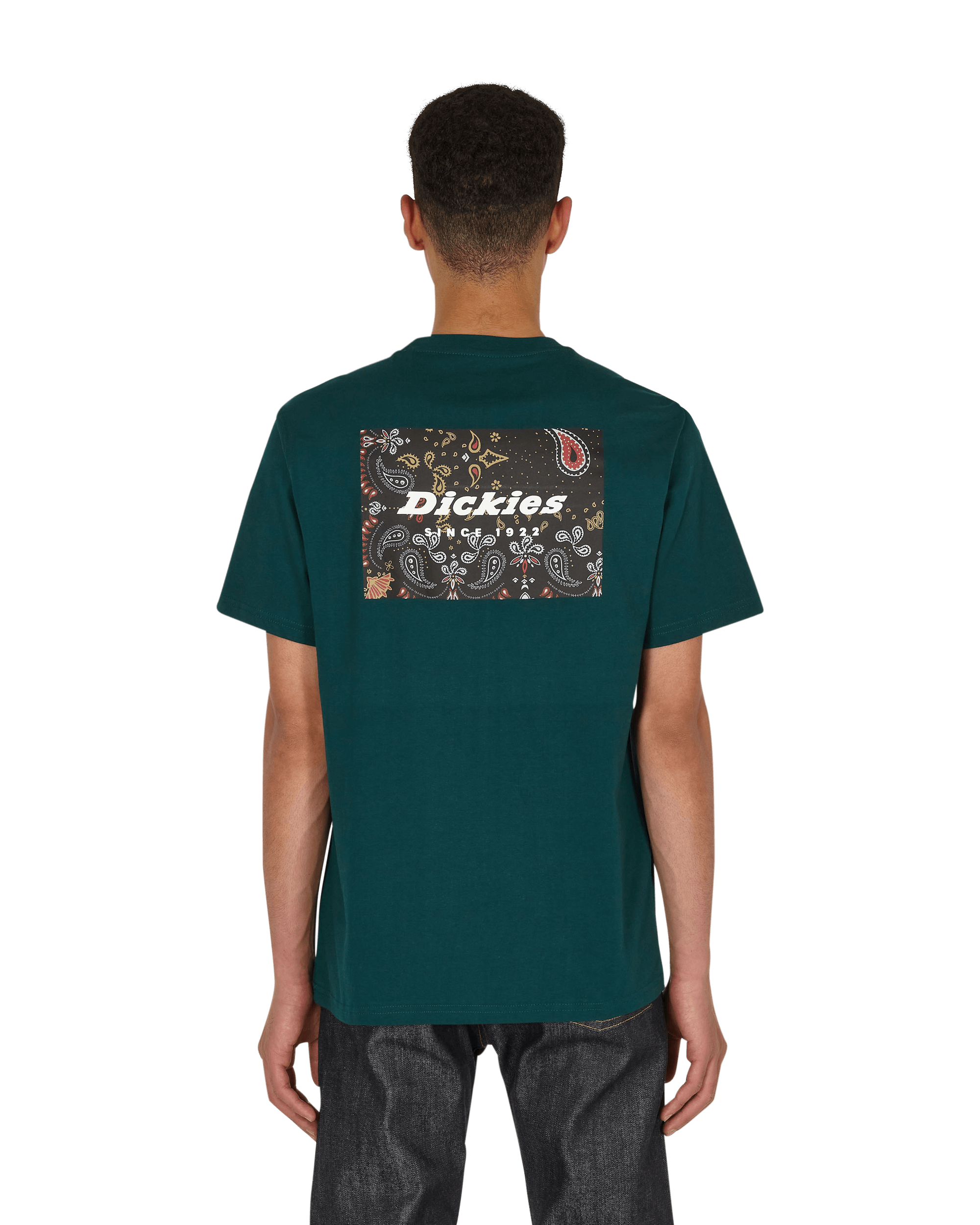 Dickies Reworked Ponderosa Pine T-Shirts Shortsleeve DK0A4XKI B851