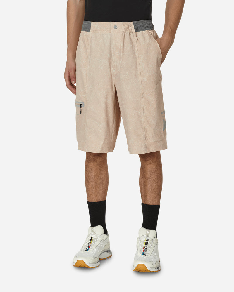 TERREX x and wander Shorts Taupe